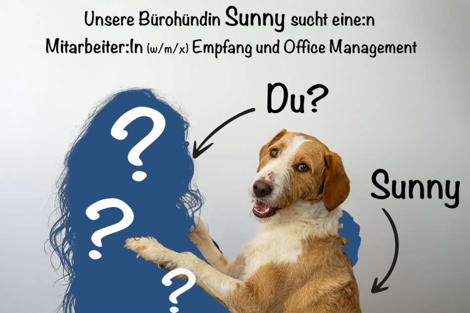 Mitarbeiter:In (w/m/x) Empfang und Office Management gesucht!